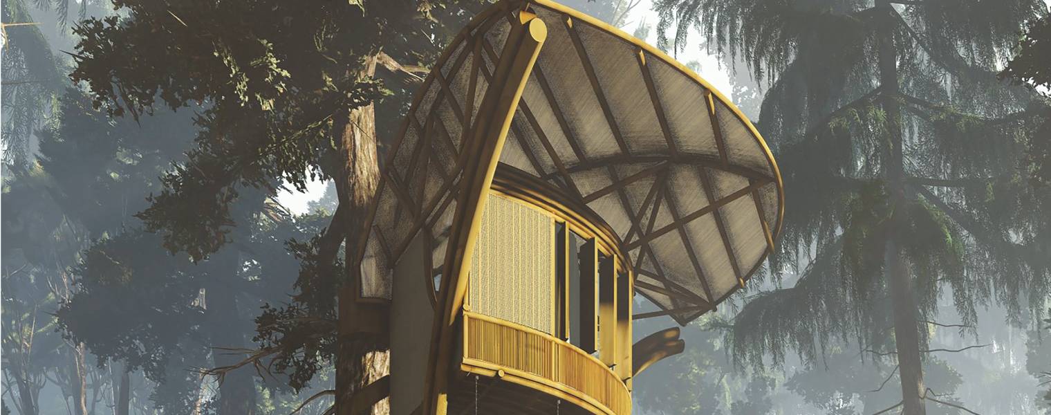 TRELLIS - Where Birds and Humans Meet